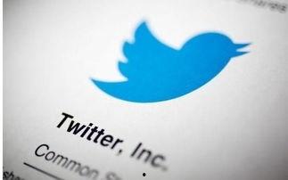 每日大赛twitter网站,追踪全球竞技盛宴！”