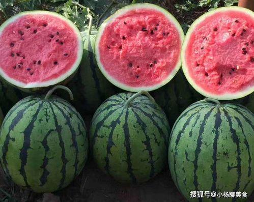 吃瓜在线观看,揭秘热门事件背后的真相