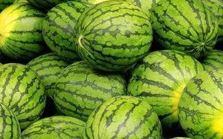 每日大赛吃瓜黑料每日大赛聚集地最新消息今天,揭秘每日大赛吃瓜黑料，聚焦最新赛事动态