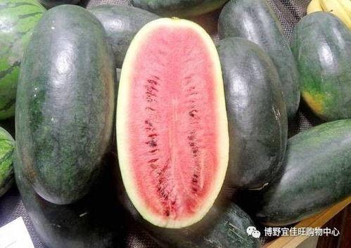每日大赛吃瓜黑料每日大赛聚集地最新消息今天,揭秘每日大赛吃瓜黑料，聚焦最新赛事动态